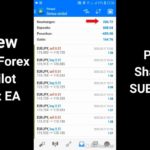 Trading Forex dengan Menggunakan Robot Autopilot KING FX EA