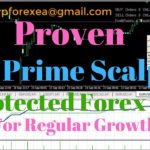 Verified Forex EA Robot | Prime Scalping EA Robot | Proven Protected Forex EA You Love
