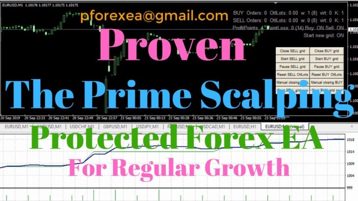 Verified Forex EA Robot | Prime Scalping EA Robot | Proven Protected Forex EA You Love