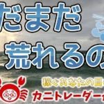 【まだまだ荒れるのか】2019/8/26（月）FX実況ライブ生配信カニトレーダーが行く! 生放送417回目🎤★☆★現在収支+7,828,051円★☆