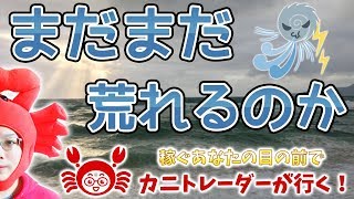 【まだまだ荒れるのか】2019/8/26（月）FX実況ライブ生配信カニトレーダーが行く! 生放送417回目🎤★☆★現在収支+7,828,051円★☆