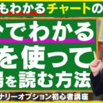 【5分で分かるチャートの見方】線を使って相場を読む方法【FX・バイナリーオプション初心者講座#8】