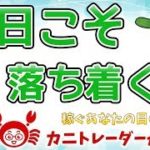 【今日こそ落ち着くか2】2019/8/19（月）FX実況ライブ生配信カニトレーダーが行く! 生放送412回目🎤★☆★現在収支+7,283,775円★☆