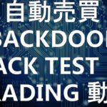 MT4 FX自動売買スキャルピングEA 『 BACKDOOR 』 Scalping Trading