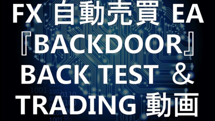 MT4 FX自動売買スキャルピングEA 『 BACKDOOR 』 Scalping Trading