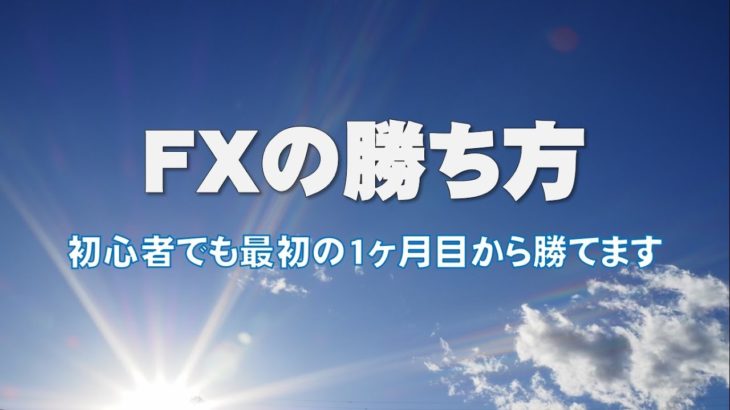 FXの勝ち方（初心者でも1か月目から勝てます）