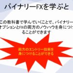 バイナリーFXを極めた先にある未来