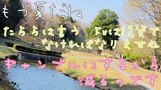 中長期FXライブ　雨だね～～～ポジってます。