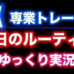 【ゆっくり実況】FX専業トレーダーの１日を紹介するよ