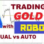 Gold Trading, Results on Real Account with EA