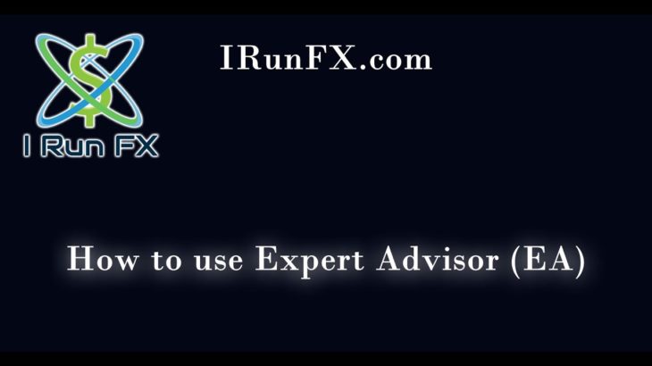 I Run FX – Forex Daily Signals – How To Use EA