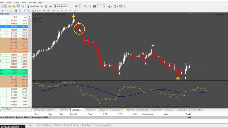 INDIGO PACKAGE…FX INDIGO INDICATOR +EA INDIGO TRADER FOR THE PRICE OF 1 !!