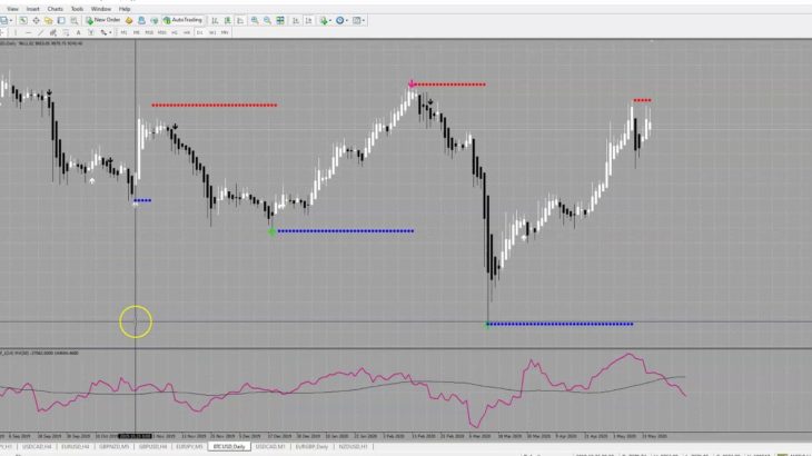 NEW FX INDIGO 2020 + INDIGO TRADER EA…..IN A PACKAGE PROMO !!