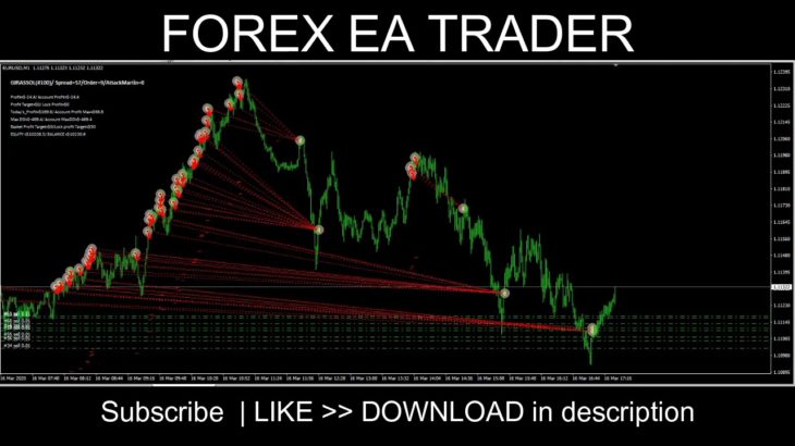 THE DAY TRADING BOT THAT DOUBLED BIAHEZA FOREX MONEY – Girassol EA download