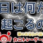 【今日は何が起こるのか】2019/8/14（水）FX実況ライブ生配信カニトレーダーが行く! 生放送408回目🎤★☆★現在収支+7,118,884円★☆