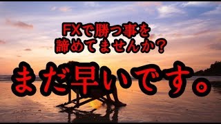 FX実況ライブ！FX初心者、経験者問わず使える最強ツール！【今月利益＋2,807,590円】