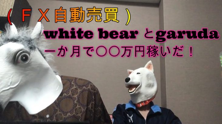 (FX自動売買)WHITE BEARとGARUDAで一か月で○○万円稼いだ！