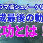 FXやバイナリーにおける成功とは？ハワイのハナウマ湾シュノーケリングとともに…#41