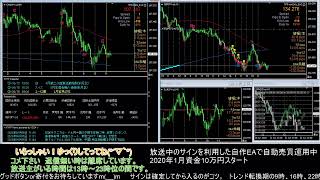 【FX】🍵MT4システムトレードと自動売買🍵【EA】2020/0615