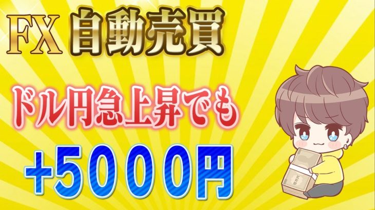 【FX自動売買】ドル円急上昇でも+5000円！
