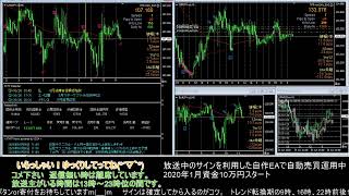 【FX】🍵MT4システムトレードと自動売買🍵【EA】2020/0625