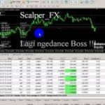 Earn  289 $ _ Ea Scalper FX Finish   _ forex live trading