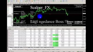 Earn  289 $ _ Ea Scalper FX Finish   _ forex live trading