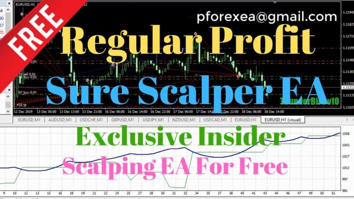 Free Forex EA Robot | Sure Scalper EA Robot | New Scalping EA For Regular Profit