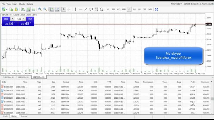 Profitable Forex EA ADA FX