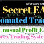 Secret Forex EA Robot | Automated Forex Trading Robot | Unusual New Forex Trading System