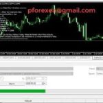 Secure Forex EA Robot | Automated Forex Trading Robot | Verified Trading Robot Worth Testing