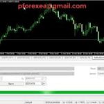 Special Forex EA Robot | Landa EA Robot | Chosen VIP Straightaway Promising EA