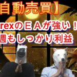 【FX自動売買】GEMFOREXのEAが強い！！今週もしっかり利益