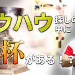 【FX、バイナリーオプション】ノウハウ探しの中に聖杯はある！？