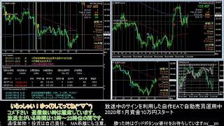 【FX】🍵MT4システムトレードと自動売買🍵【EA】2020/0701