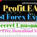 Free Forex EA Robot | Best Forex Expert Advisor Free Download | Secret Unusual Forex Robot Profits