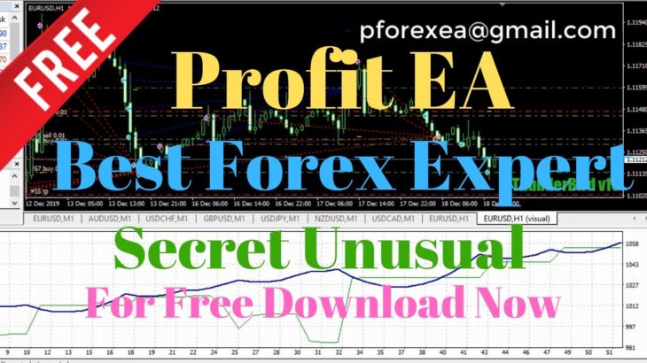 Free Forex EA Robot | Best Forex Expert Advisor Free Download | Secret Unusual Forex Robot Profits