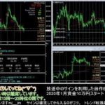 【FX】🍵MT4システムトレードと自動売買🍵【EA】2020/0629