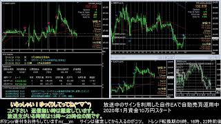 【FX】🍵MT4システムトレードと自動売買🍵【EA】2020/0629