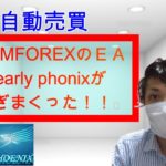 【FX自動売買】GEMFOREXのEA early phoenixが稼ぎまくった！！