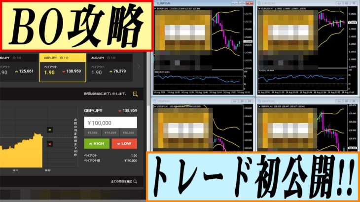 【有料級】バイナリートレードを初披露！裏技やテクニック教えます【システム運用】