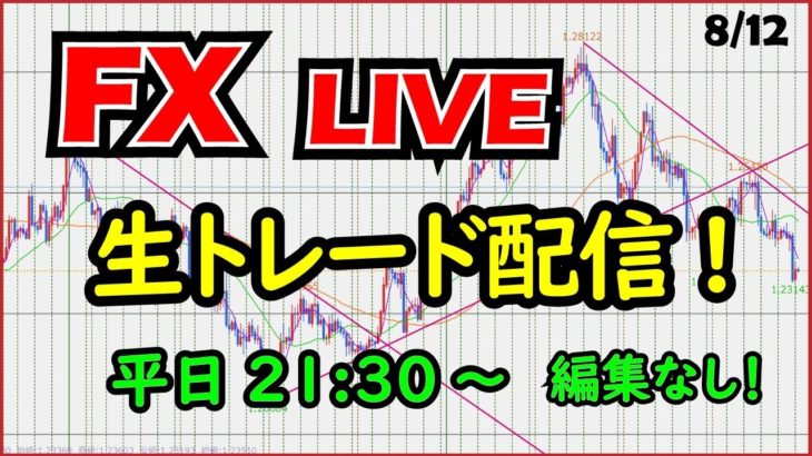 【FXライブ】昨日取引〇。今日もエントリー絞ってスキャ8/12