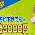 【FX自動売買】日給3000円稼いだ