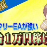 【FX自動売買】アノマリーEAが強い！日給1万円稼げた