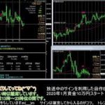 【FX】🍵MT4システムトレードと自動売買🍵【EA】2020/0812