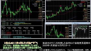 【FX】🍵MT4システムトレードと自動売買🍵【EA】2020/0812