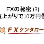 FXの秘密（3）　1円値上がりで10万円儲け！