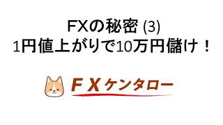 FXの秘密（3）　1円値上がりで10万円儲け！