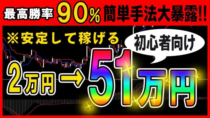 【バイナリー】わずか2万円の元手が51万円に変化を遂げた知識不要の簡単手法公開！！【必勝法】【初心者】【ハイローオーストラリア】【投資】【FX】