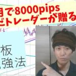 FX初心者講座【11ヵ月で8000pips稼いだトレーダーの勉強法公開】2020.09.06